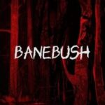 Banebush