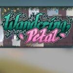 Wandering Petal