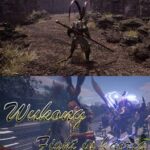 Wukong Fight in Kaoria