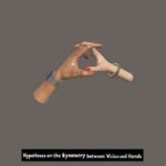 Hypotheses on the Symmetry between Vision and Hands