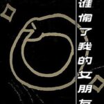 Shei Toule Wo de Nu Pengyou