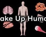 Make Up Human