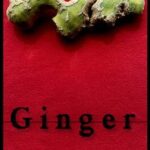 Ginger