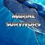 Marine Survivors