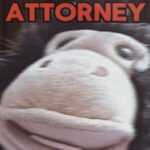 Assetflip Attorney