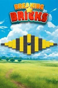 Breaking Bricks