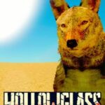 Hollowglass