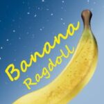 Banana Ragdoll