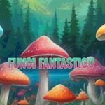 Fungi Fantastico