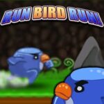 Run Bird Run!