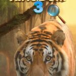 Animal Kingdom 3