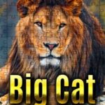 Big Cat Jigsaw Quest