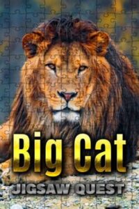 Big Cat Jigsaw Quest