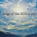 Wings of the Kite in Sky