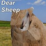 My Dear Sheep