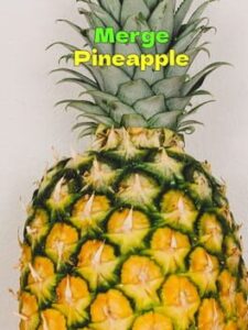 Merge Pineapple