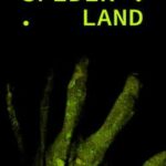 Spider Land