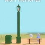 Short Memories
