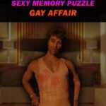 Sexy Memory Puzzle: Gay Affair