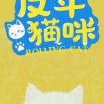 Magic Puzzle King 2: Rolling Cat