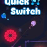 QuickSwitch