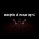 Examples of Human Capital