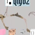 Qiyb2