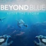 Beyond Blue: After the Storm