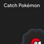 Catch Pokémon