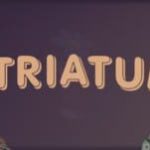 Striatum