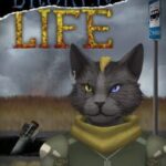 Broken Life