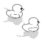 Duck Game
