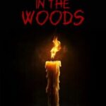 Light in the Woods