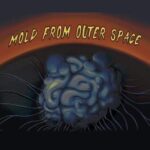 Mold From Outer Space