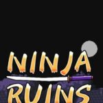 Ninja Ruins