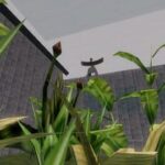 Cloud Storage Botanical Station