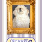Franny Answers