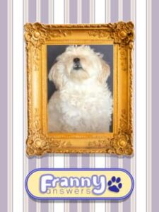 Franny Answers