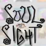 Soul Sight