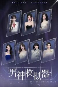Mr Right Simulator