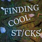 Finding Cool Sticks