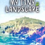 My Tiny Landscape