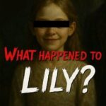 What Happened to Lily?