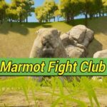 Marmot Fight Club