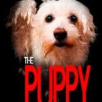 The Puppy