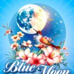 Twistingo: Blue Moon - Collector's Edition