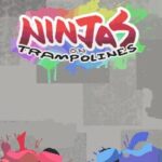 Ninjas on Trampolines