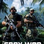 Gray War Conflict