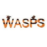 Wasps