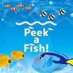 Peek a Fish!